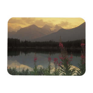Íman Canadá, Alberta, Banff. Cenário do nascer do sol d