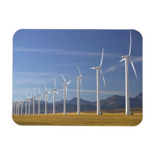 Íman Canadá, Alberta, Crowsnest Pass Area: Cowley