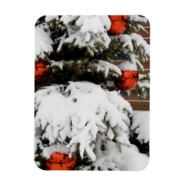 Íman Canadá, Alberta, Jasper, Jasper NP. Fairmont 2 (Vertical)