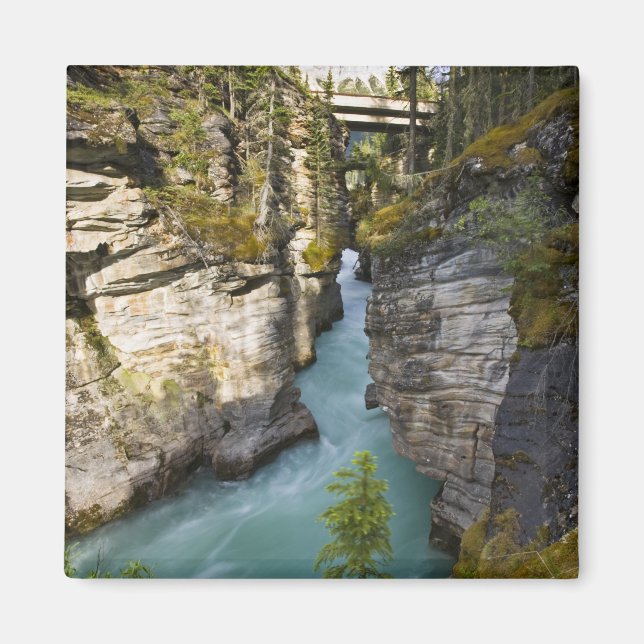 Íman Canadá, Alberta, Jasper National Park, Athabasca 2 (Frente)