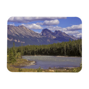 Íman Canadá, Alberta, Parque Nacional Jasper. Grande