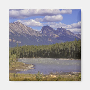 Íman Canadá, Alberta, Parque Nacional Jasper. Grande