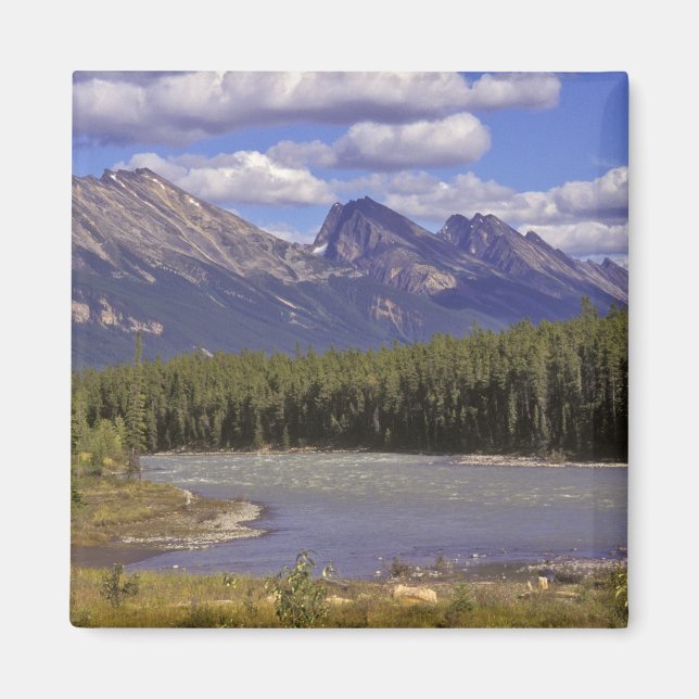 Íman Canadá, Alberta, Parque Nacional Jasper. Grande (Frente)
