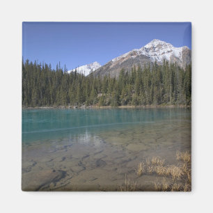 Íman Canadá, Alberta, Parque Nacional Jasper: JASPER,