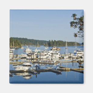 Íman Canadá, BC, Ilhas do Golfo, Ilha Salt Spring,