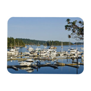 Íman Canadá, BC, Ilhas do Golfo, Ilha Salt Spring,