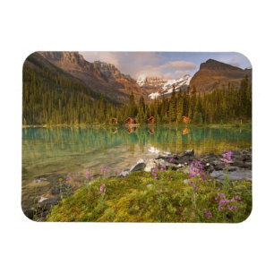 Íman Canadá, Colúmbia Britânica, Parque Nacional Yoho.