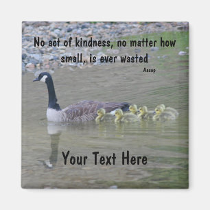 Íman Canadá: Gansos Atos De Bondade Magneta Inspiracion