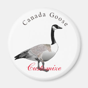 Íman Canadá Goose Gander Thunder_Cove