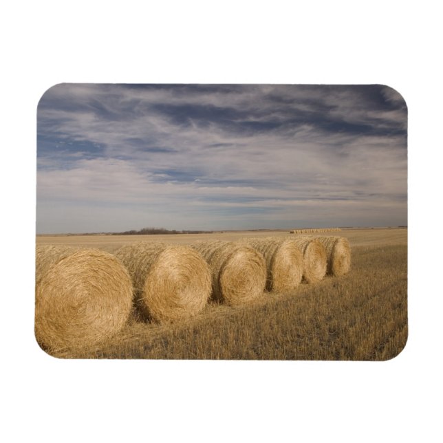 Íman Canadá, Saskatchewan, Craik: Fardos de feno / Outo (Horizontal)
