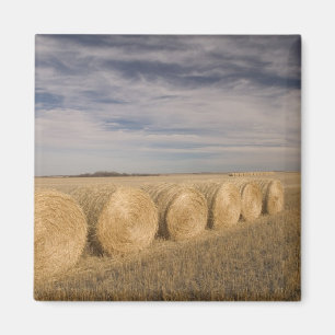 Íman Canadá, Saskatchewan, Craik: Fardos de feno / Outo