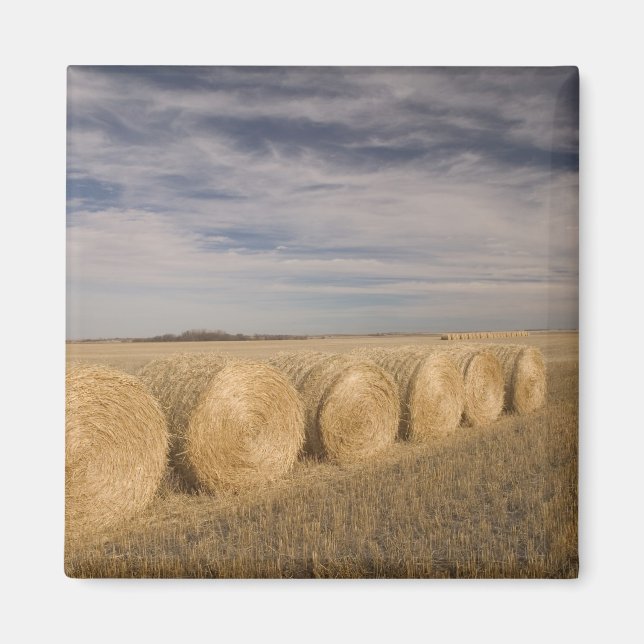 Íman Canadá, Saskatchewan, Craik: Fardos de feno / Outo (Frente)
