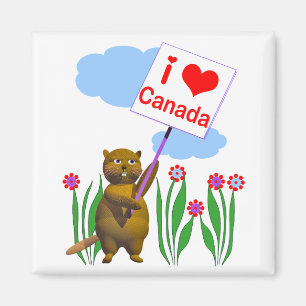 Íman Canadense Beaver ama Canadá