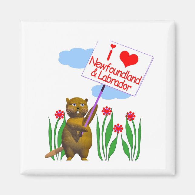 Íman Canadense Beaver ama Terra Nova, Labrador (Frente)