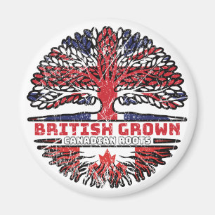 Íman Canadense Canada Uk Reino Unido British Tree
