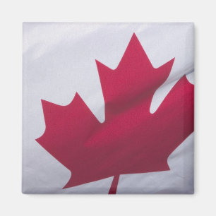 Íman Canadian Flag.