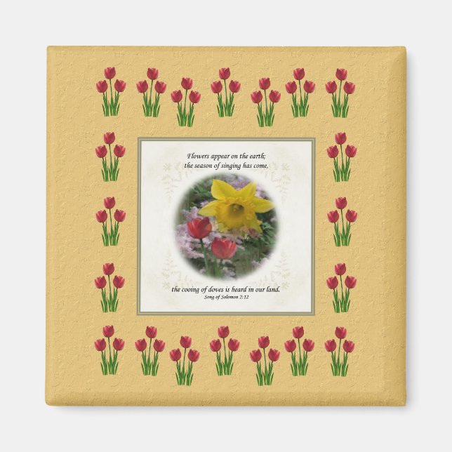 Íman Canção de Salomão 2:12 (Frente)