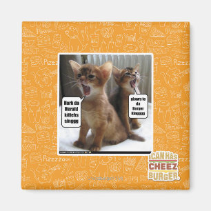 Íman Canções de natal de Kitteh