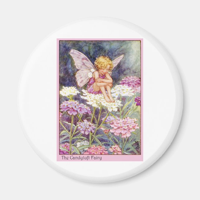 Íman Candytuft Fairy (Frente)