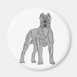Íman Cane Corso