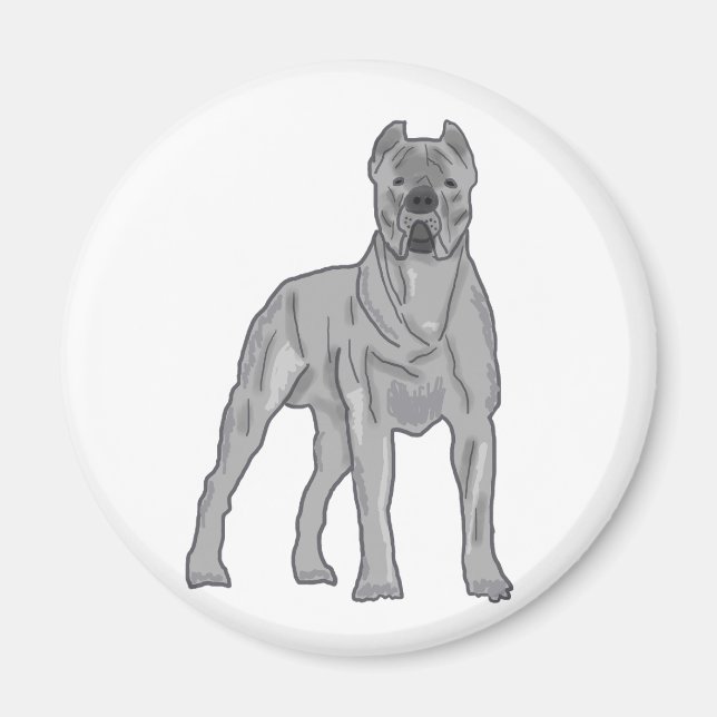 Íman Cane Corso (Frente)