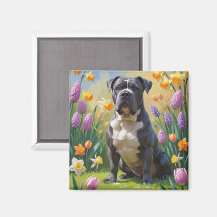 Íman Cane Corso Cachorro Flores de Primavera Pintura