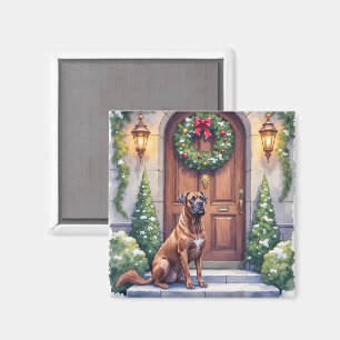 Íman Cane Corso Grande Porta Evergreen Arte de Natal