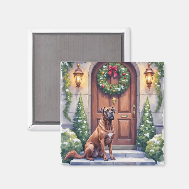 Íman Cane Corso Grande Porta Evergreen Arte de Natal (Front/Back)