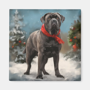 Íman Cane Corso no Natal da Neve