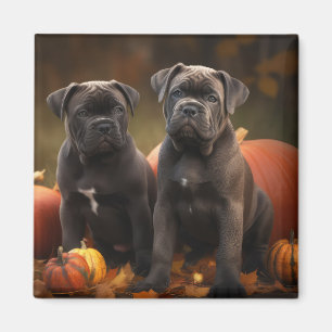 Íman Cane Corso Puppy Autumn Delight Pumpkin