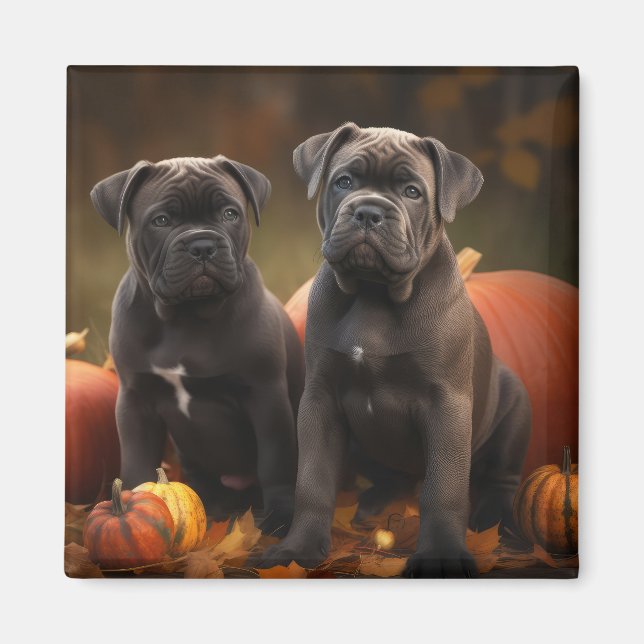 Íman Cane Corso Puppy Autumn Delight Pumpkin (Frente)