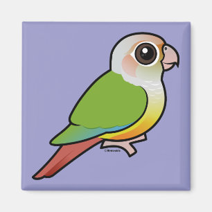 Íman Canela Conure Verde-cheeked de Birdorable