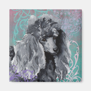 Íman Caniche diminuta elegante