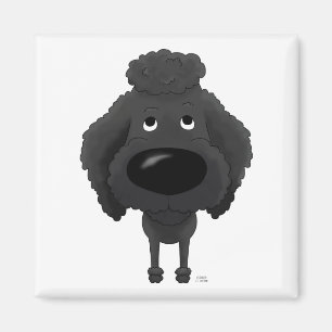 Íman Caniche grande do nariz
