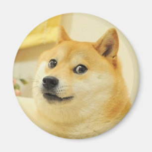 Íman Canina