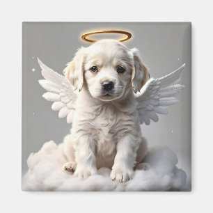 ÍMAN " CANINE CHERUB "