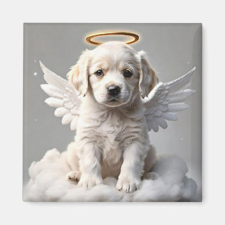 ÍMAN " CANINE CHERUB "