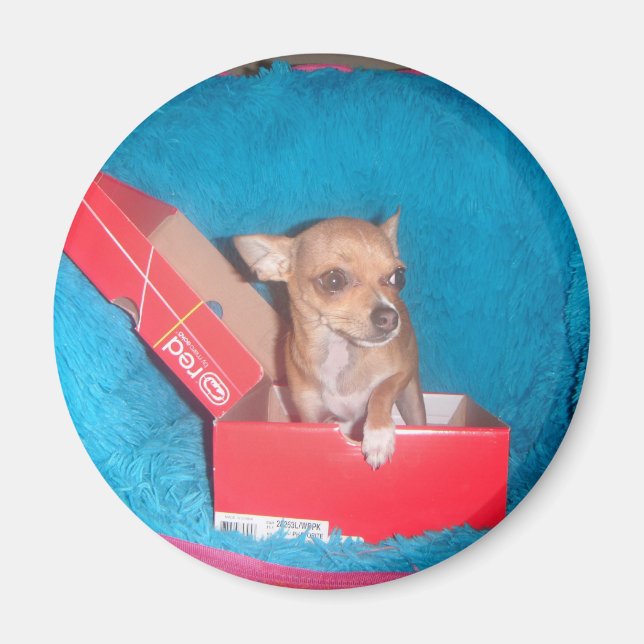 Íman canino (Frente)