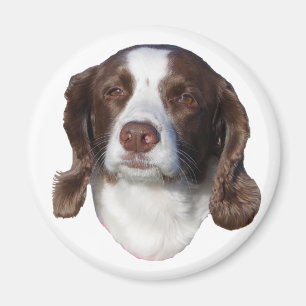 Íman canino