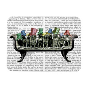 Íman Caninos em Sofa