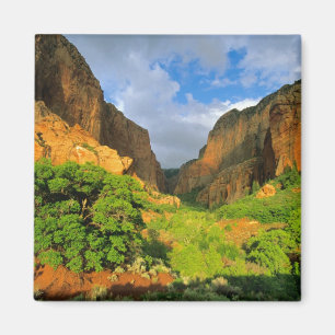 Íman Cânion Kolob no Zion Canyon no Zion National