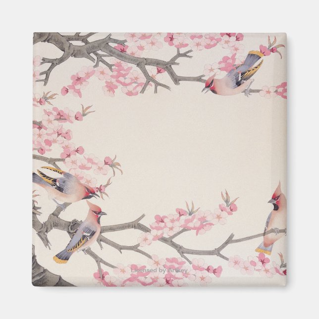 Íman Cantando Pássaros em Primavera (Frente)