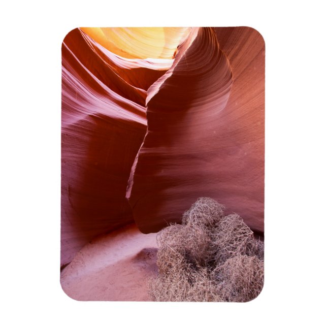 Íman Canyon de muitas cores (Vertical)