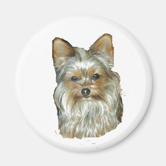 Íman Cão 4B,Yorkshire Terrier,Magnet (Frente)