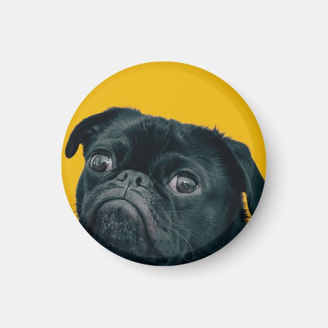 Íman cão amarelo (Frente)