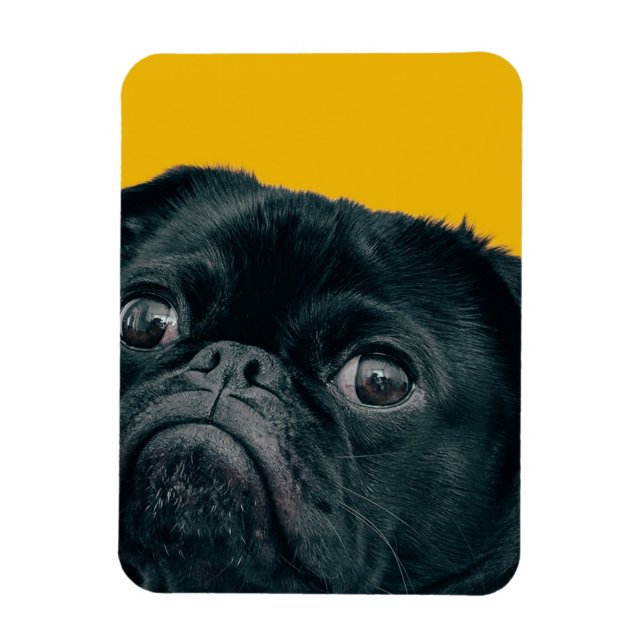 Íman cão amarelo (Vertical)