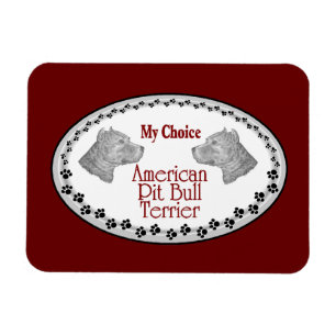 Íman Cão americano Pit Bull Terrier