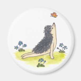 Íman Cão ascendente do revestimento do ouriço