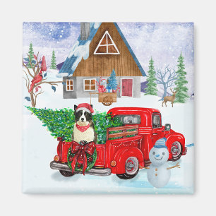 Íman Cão Border Collie em Caminhão de Entrega de Natal