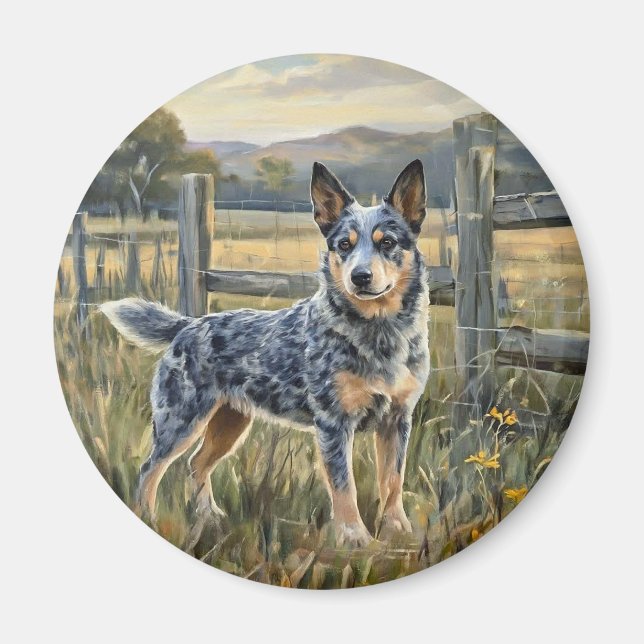 Íman Cão Bovino Australiano (Frente)